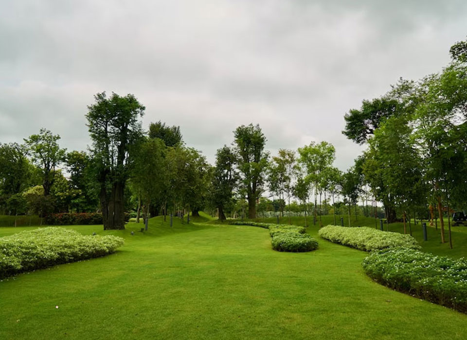 park